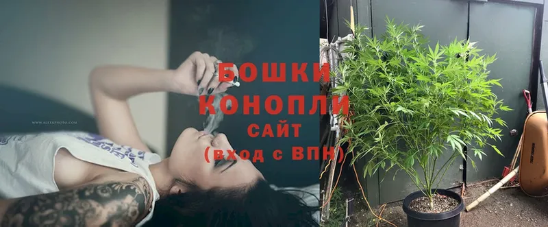 наркошоп  Воткинск  Шишки марихуана White Widow 